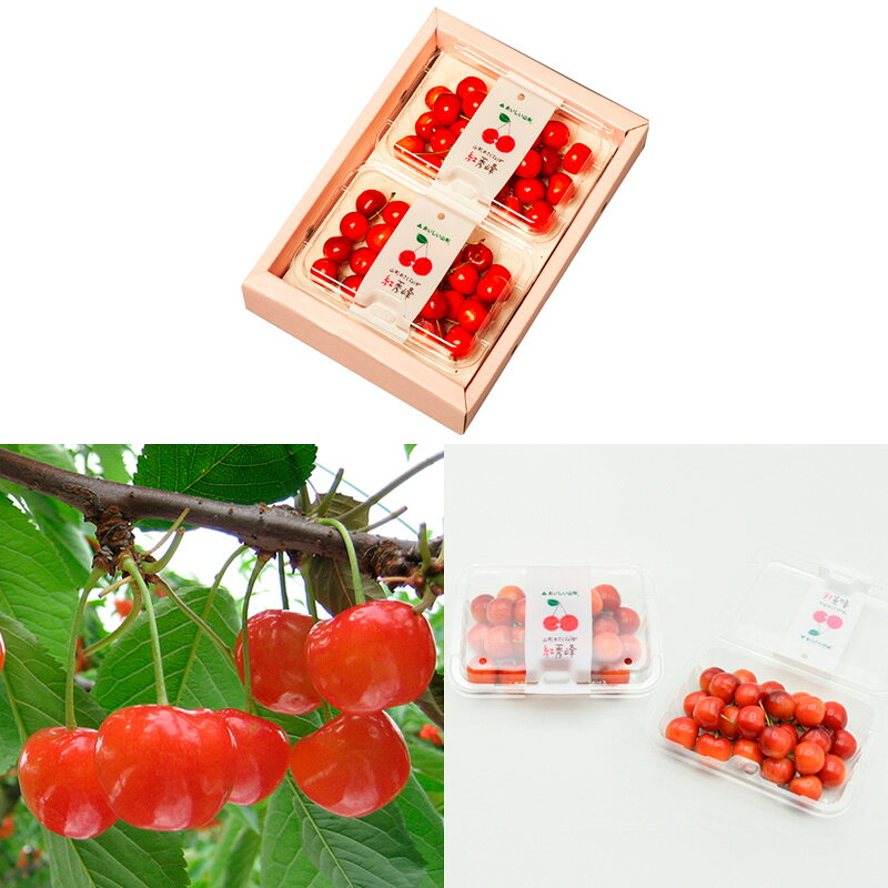 【ふるさと納税】【定期便3回】山形のさくらんぼ 佐藤錦・紅秀峰 各360g×3回[5月・6月・7月] 【令和8年産先行予約】FS25-007 サムネイル3