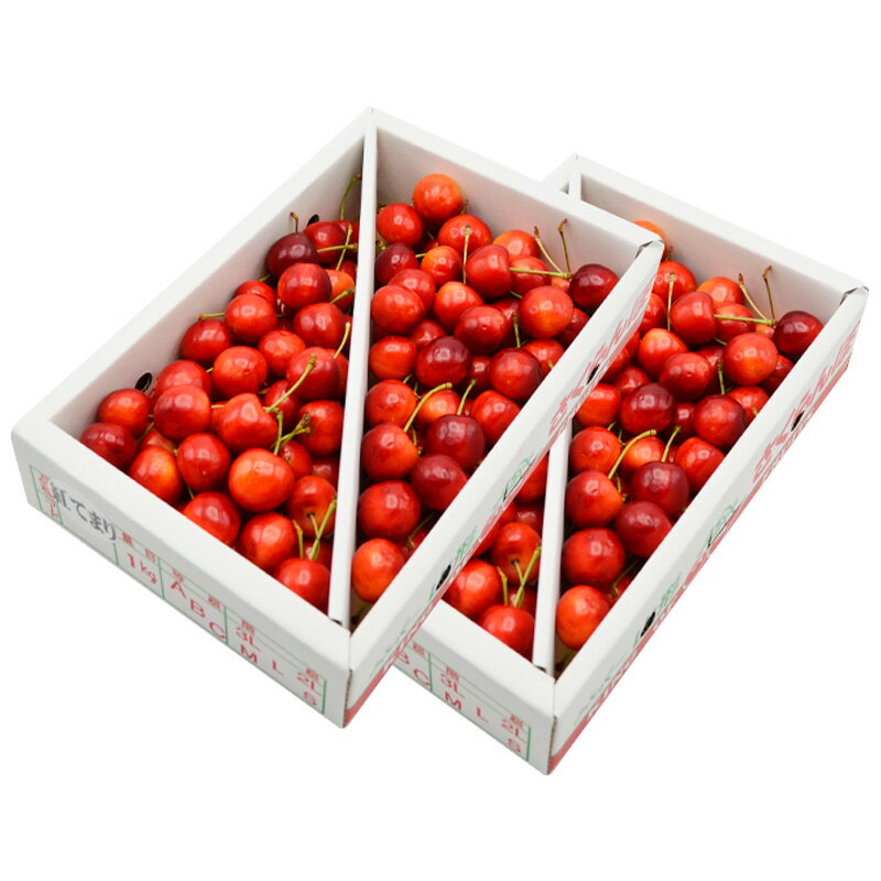 【ふるさと納税】【ご家庭みんなで楽しめる！2kg】山形のさくらんぼ 紅てまり 2kg Lサイズ以上 バラ詰 (1kg×2箱) 【令和8年産先行予約】FS25-009 サムネイル2