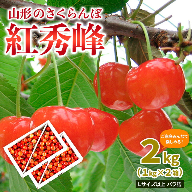 【ご家庭みんなで楽しめる！2kg】山形のさくらんぼ 紅秀峰 2kg Lサイズ以上 バラ詰 (1kg×2箱) 【令和8年産先行予約】FS25-010