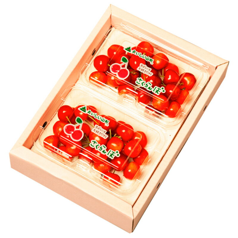 【ふるさと納税】山形のさくらんぼ 大将錦 360gLサイズ以上 (180g×2パック) 【令和8年産先行予約】FS25-015 サムネイル2