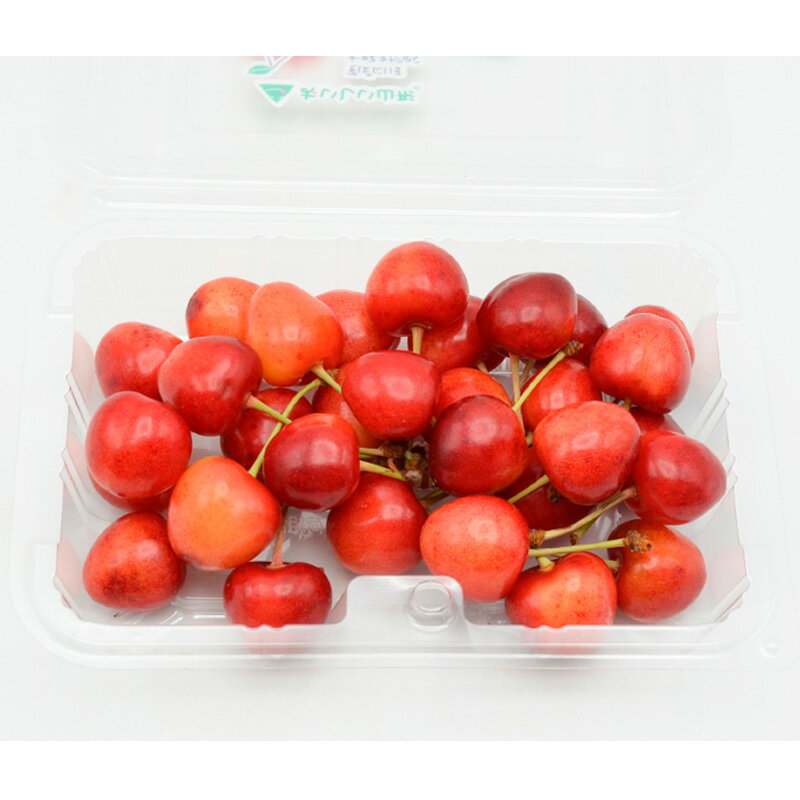 【ふるさと納税】山形のさくらんぼ 大将錦 360gLサイズ以上 (180g×2パック) 【令和8年産先行予約】FS25-015 サムネイル3