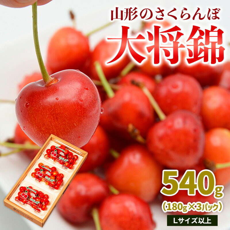 山形のさくらんぼ 大将錦 540g Lサイズ以上 (180g×3パック) 【令和8年産先行予約】FS25-017