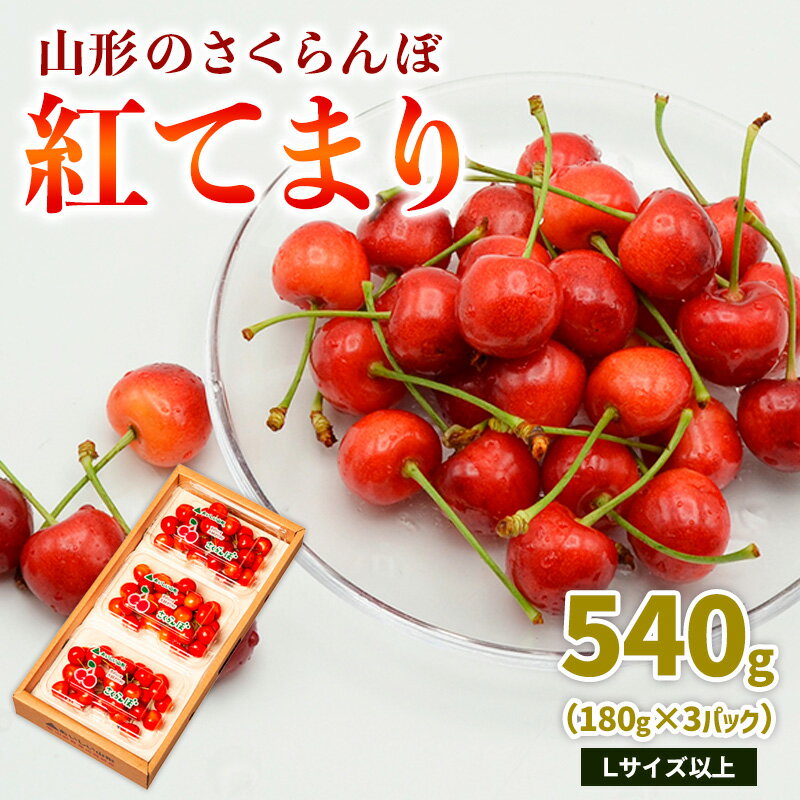 山形のさくらんぼ 紅てまり 540g Lサイズ以上 (180g×3パック) 【令和8年産先行予約】FS25-018
