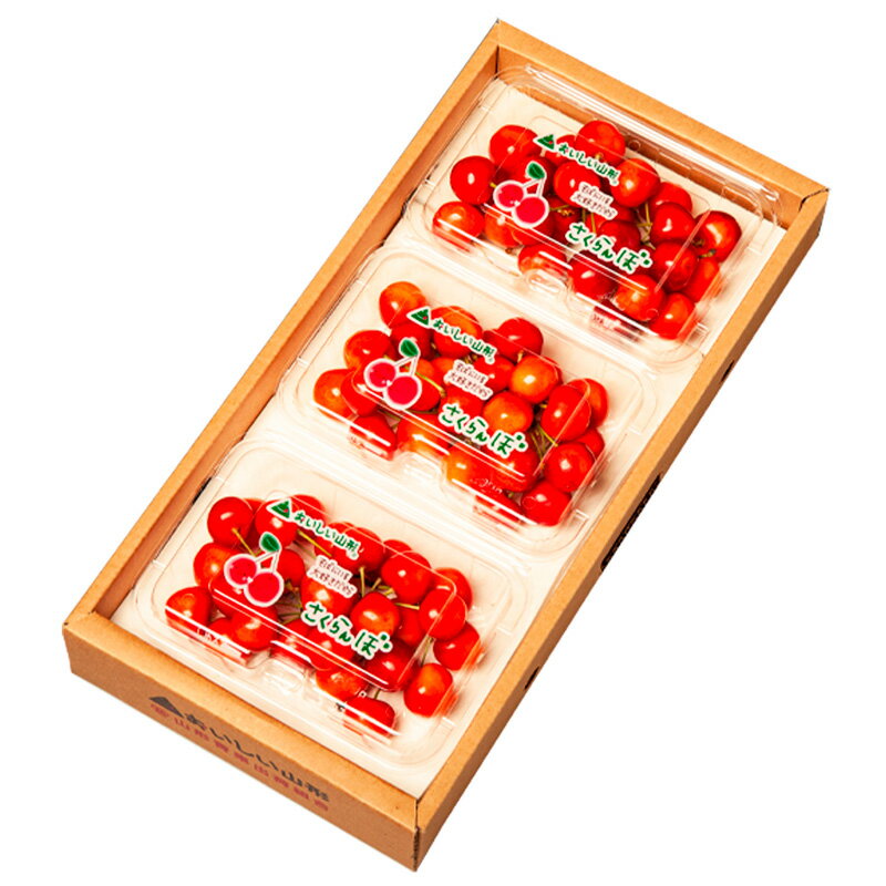 【ふるさと納税】山形のさくらんぼ 紅てまり 540g Lサイズ以上 (180g×3パック) 【令和8年産先行予約】FS25-018 サムネイル2