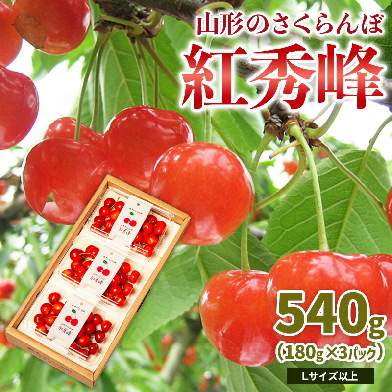 山形のさくらんぼ 紅秀峰 540g Lサイズ以上 (180g×3パック) 【令和8年産先行予約】FS25-022