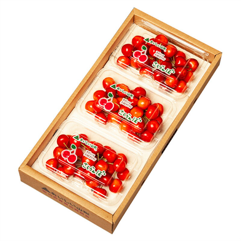 【ふるさと納税】山形のさくらんぼ 佐藤錦 540g Lサイズ以上 (180g×3パック) 【令和8年産先行予約】FS25-024 サムネイル2