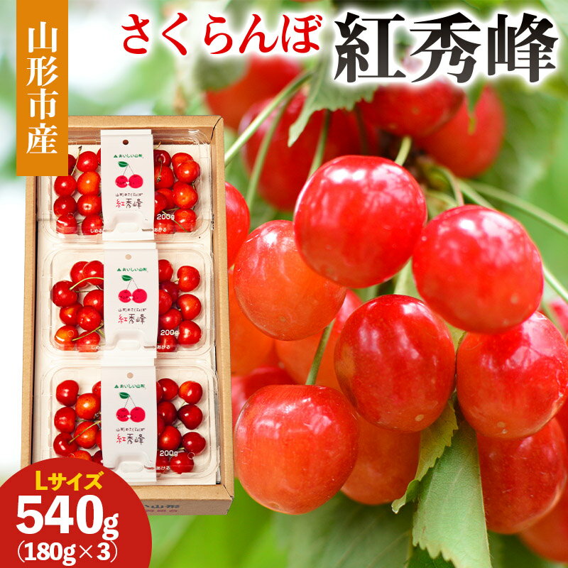山形市産 さくらんぼ(紅秀峰)L 540g(180g×3) 【令和8年産先行予約】FS25-029