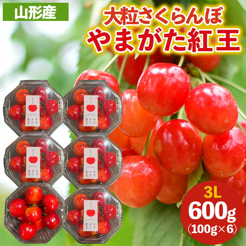 大粒のさくらんぼ「やまがた紅王」3Lサイズ 600g (100×6パック入り) 【令和8年産先行予約】FS25-032
