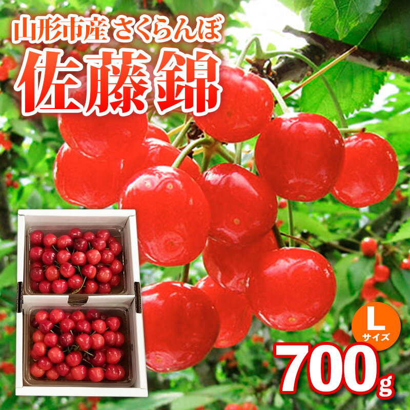 山形市産さくらんぼ【佐藤錦】Lサイズ 700g バラ詰め 【令和8年産先行予約】FS25-036