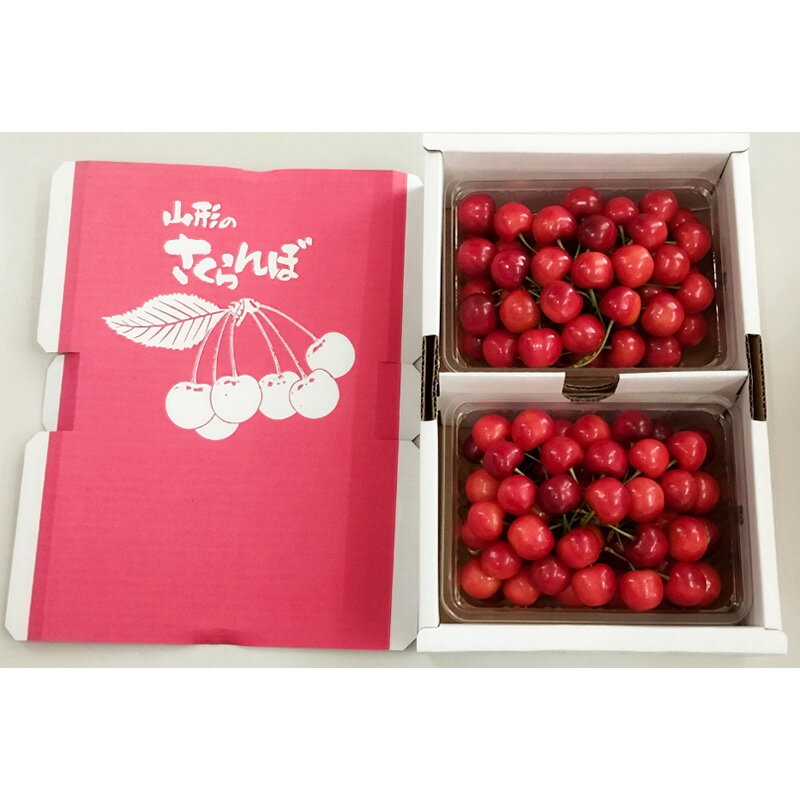 【ふるさと納税】山形市産さくらんぼ【佐藤錦】Lサイズ 700g バラ詰め 【令和8年産先行予約】FS25-036 サムネイル2