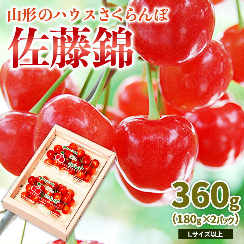 山形のハウス さくらんぼ 佐藤錦 360g(180g×2パック)Lサイズ以上 【令和8年産先行予約】FS25-049