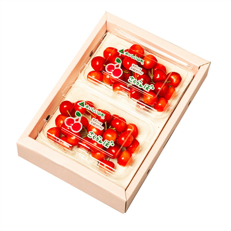 【ふるさと納税】山形のハウス さくらんぼ 佐藤錦 360g(180g×2パック)Lサイズ以上 【令和8年産先行予約】FS25-049 サムネイル2