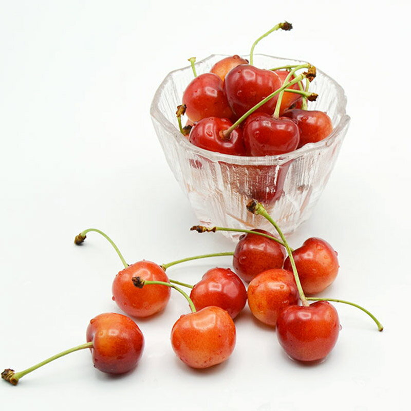 【ふるさと納税】山形のハウス さくらんぼ 紅秀峰 360g(180g×2パック)Lサイズ以上 【令和8年産先行予約】FS25-050 サムネイル3