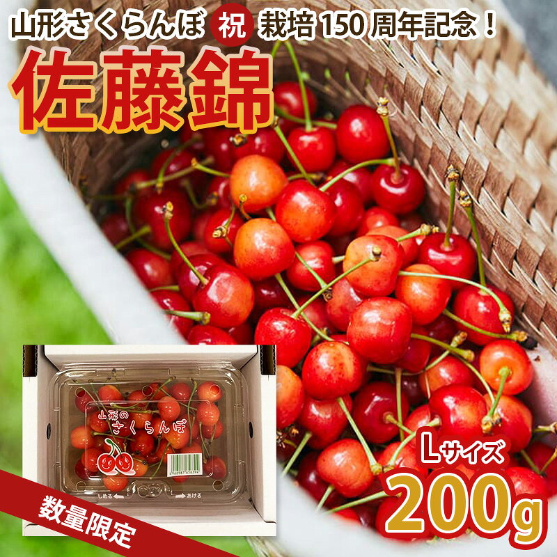 山形さくらんぼ (祝)栽培150周年記念！佐藤錦 200g L玉 数量限定！【令和8年産先行予約】FS25-060