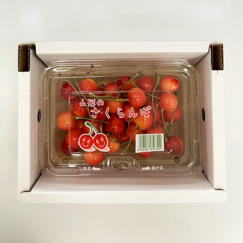 【ふるさと納税】山形さくらんぼ (祝)栽培150周年記念！佐藤錦 200g L玉 数量限定！【令和8年産先行予約】FS25-060 サムネイル2