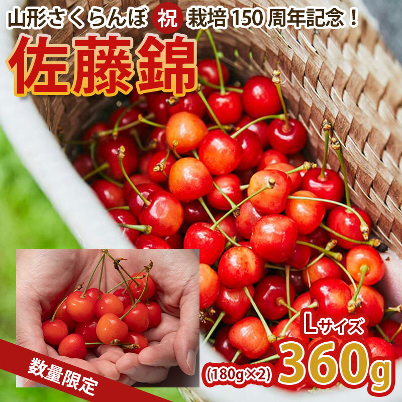 山形さくらんぼ (祝)栽培150周年記念！佐藤錦 360g L玉 数量限定！【令和8年産先行予約】FS25-061
