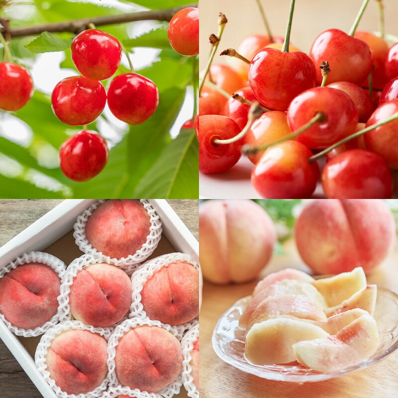 【ふるさと納税】【定期便7回】ノノハナフルーツ 半年まるっと山形のフルーツ三昧 【令和8年産先行予約】FS25-076 サムネイル2