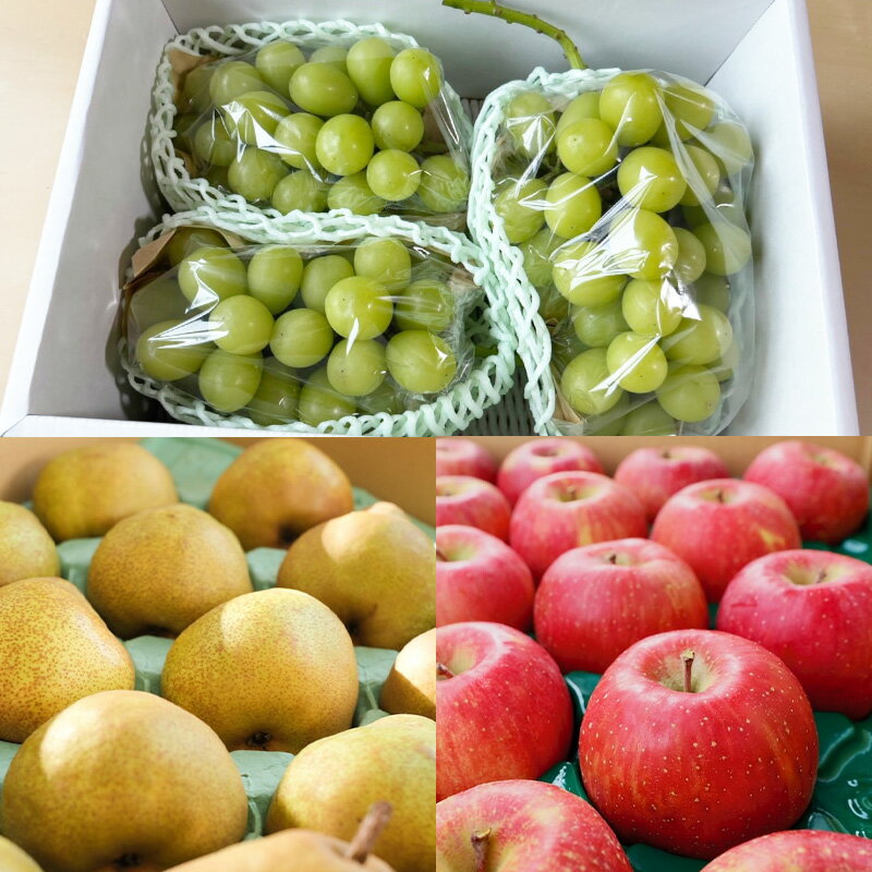 【ふるさと納税】【定期便7回】ノノハナフルーツ 半年まるっと山形のフルーツ三昧 【令和8年産先行予約】FS25-076 サムネイル3