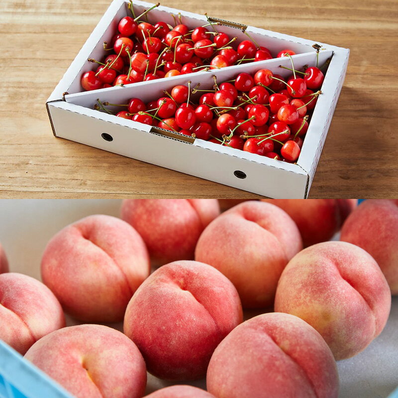 【ふるさと納税】【定期便5回】毎月届く！果物王国山形のフルーツ 【令和8年産先行予約】FS25-082 サムネイル2