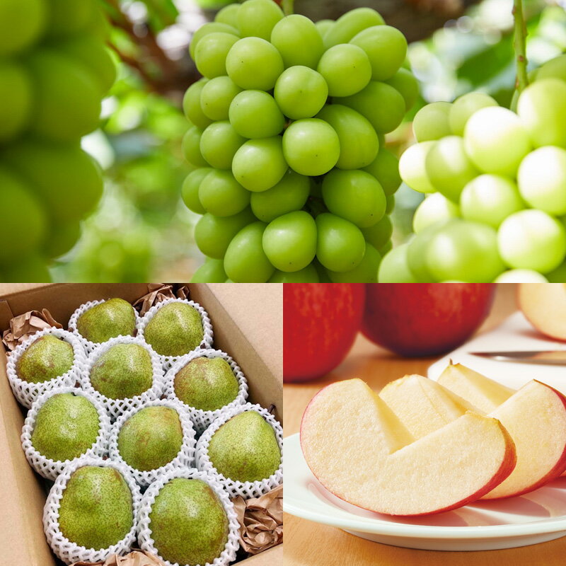 【ふるさと納税】【定期便5回】毎月届く！果物王国山形のフルーツ 【令和8年産先行予約】FS25-082 サムネイル3