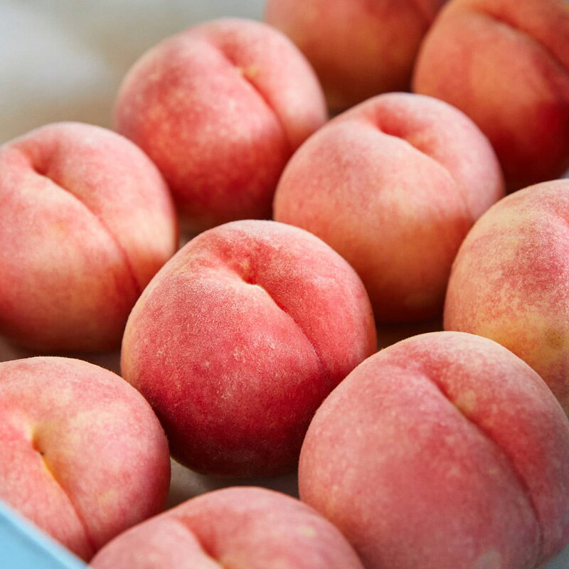 【ふるさと納税】【硬い桃好きの方へ】大人気！かためのパリッと食感！山形産 もも 2kg【令和8年産先行予約】FS25-083 サムネイル2