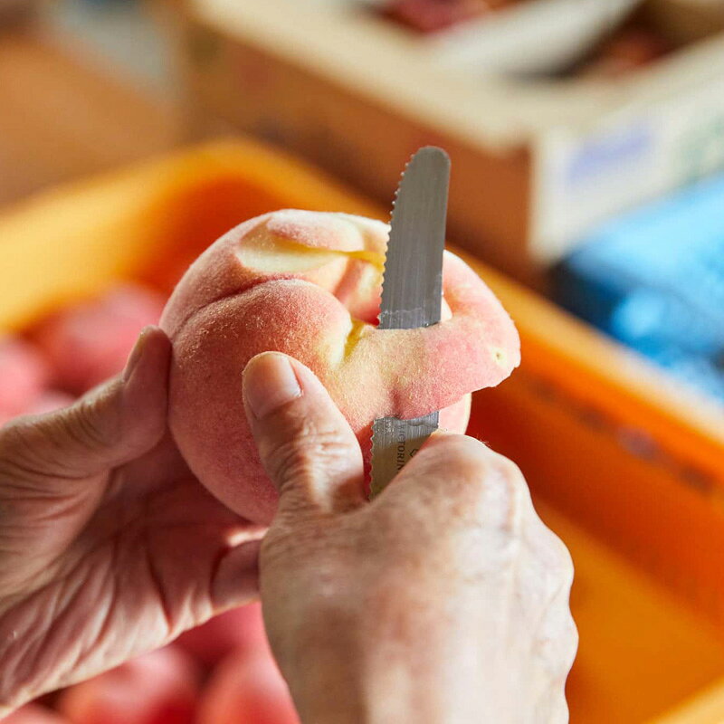 【ふるさと納税】【硬い桃好きの方へ】大人気！かためのパリッと食感！山形産 もも 2kg【令和8年産先行予約】FS25-083 サムネイル3