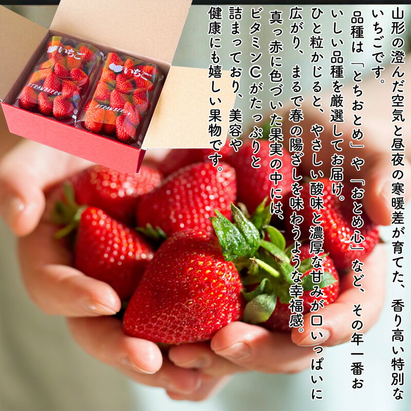 【ふるさと納税】【定期便5回】やまがた果実日和定期便 今日も"おいしい日"。届くたびに心が弾む旬の果実【令和8年産先行予約】FS25-085 サムネイル2