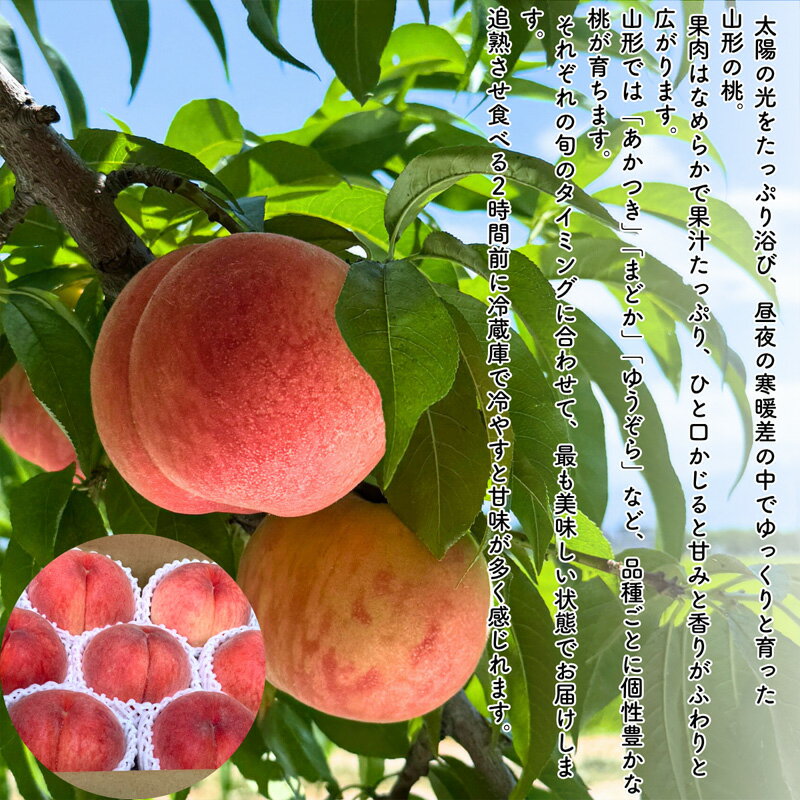 【ふるさと納税】【定期便5回】やまがた果実日和定期便 今日も"おいしい日"。届くたびに心が弾む旬の果実【令和8年産先行予約】FS25-085 サムネイル3