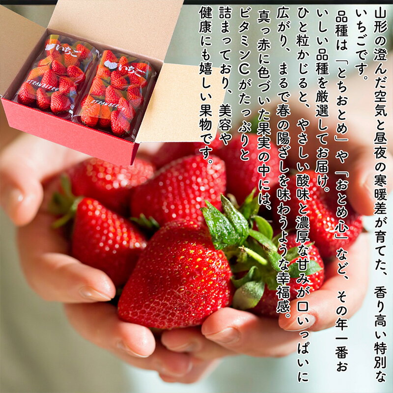 【ふるさと納税】【定期便5回】やまがたを堪能！イチオシ定期便【令和8年産先行予約】FS25-086 サムネイル2