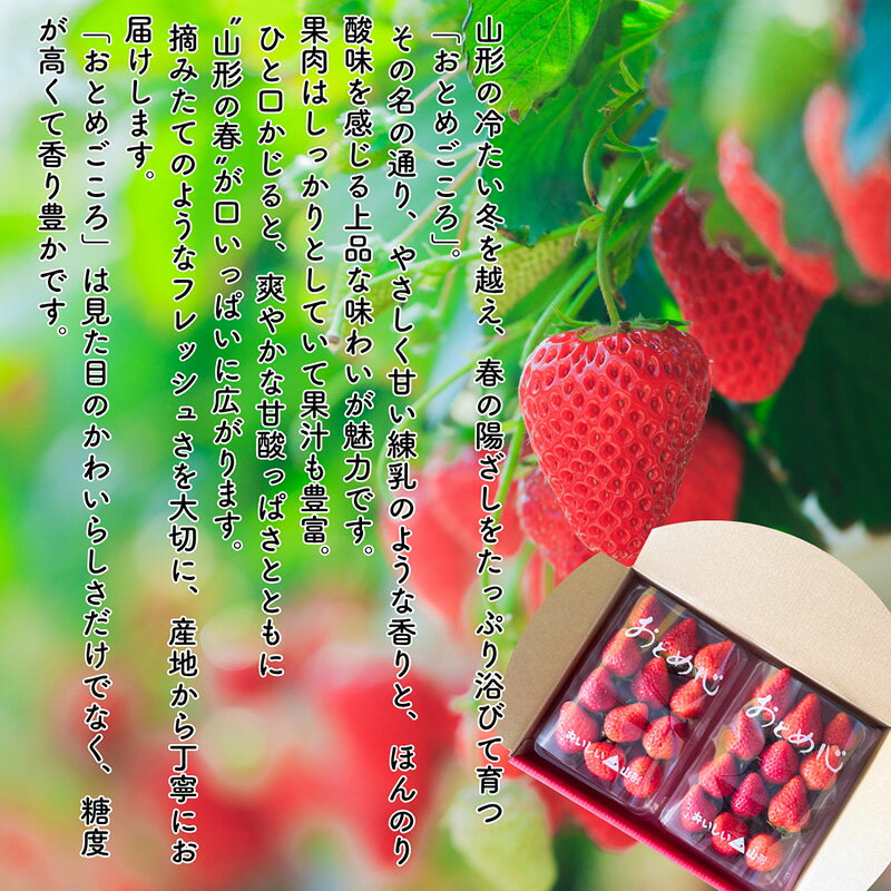 【ふるさと納税】【定期便5回】やまがた果物歳時期 全5回定期便【令和8年産先行予約】FS25-087 サムネイル2