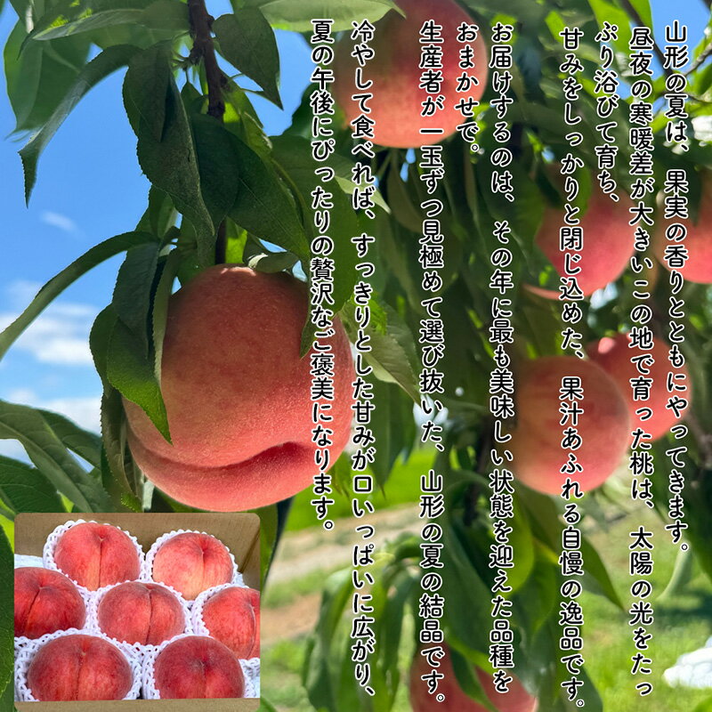 【ふるさと納税】やまがた果実めぐり ―白桃と秋姫― 約3kg 秀品【令和8年産先行予約】FS25-090 サムネイル3