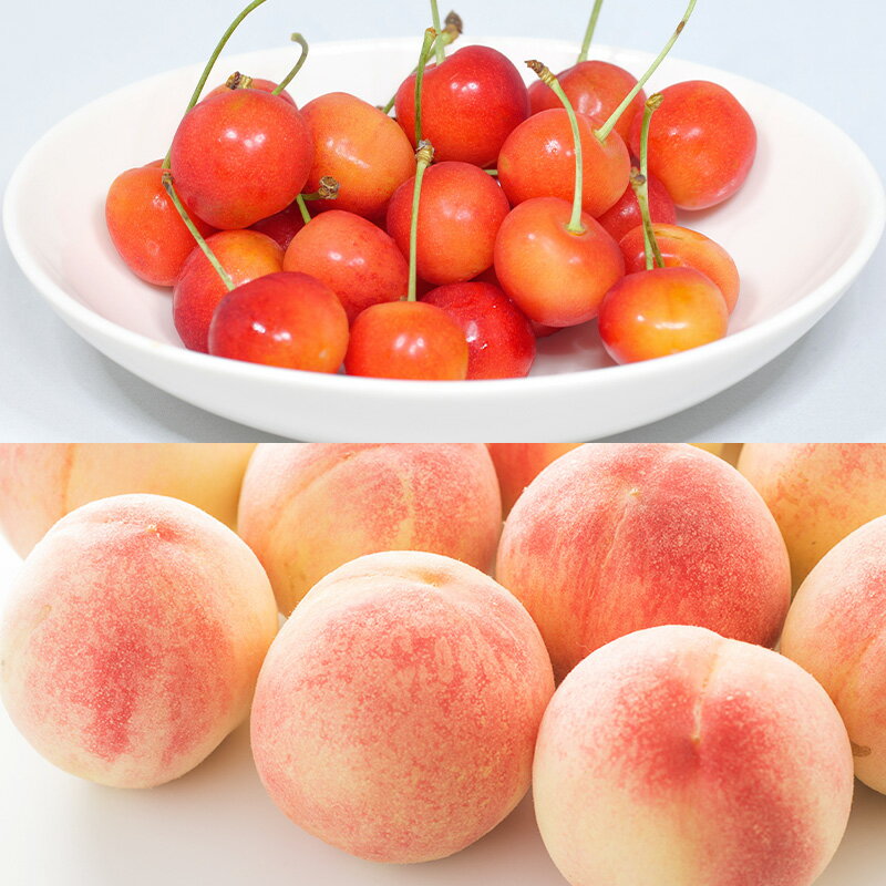 【ふるさと納税】【定期便5回】やまがた旬果実の定期便【令和8年産先行予約】FS25-091 サムネイル2