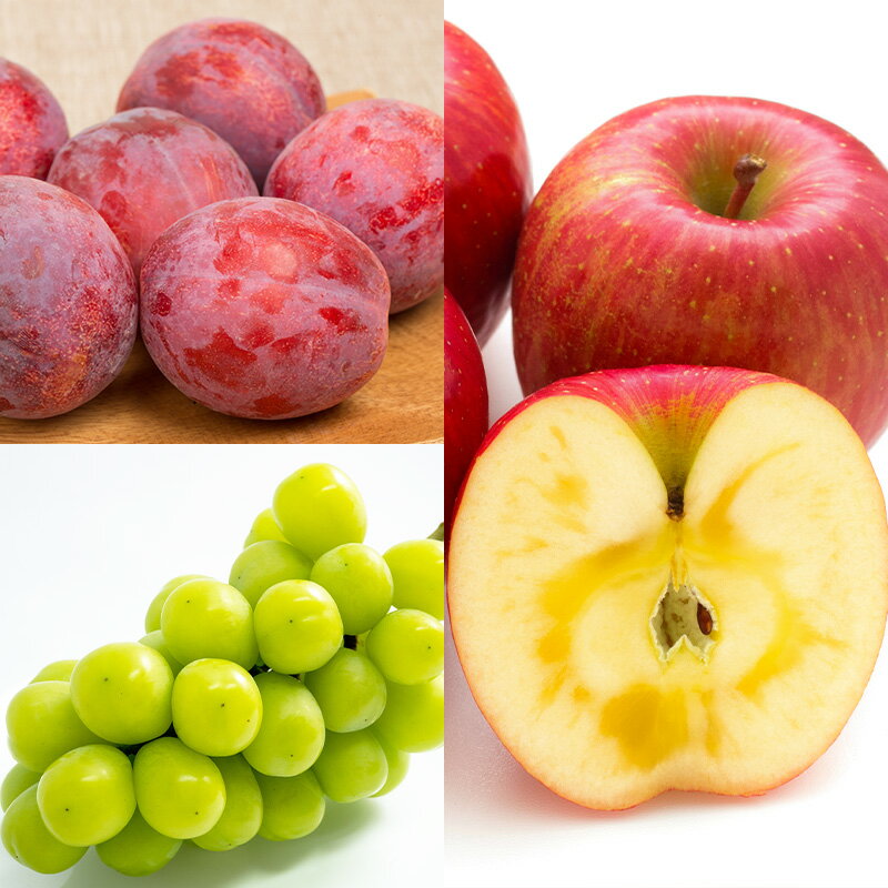 【ふるさと納税】【定期便5回】やまがた旬果実の定期便【令和8年産先行予約】FS25-091 サムネイル3