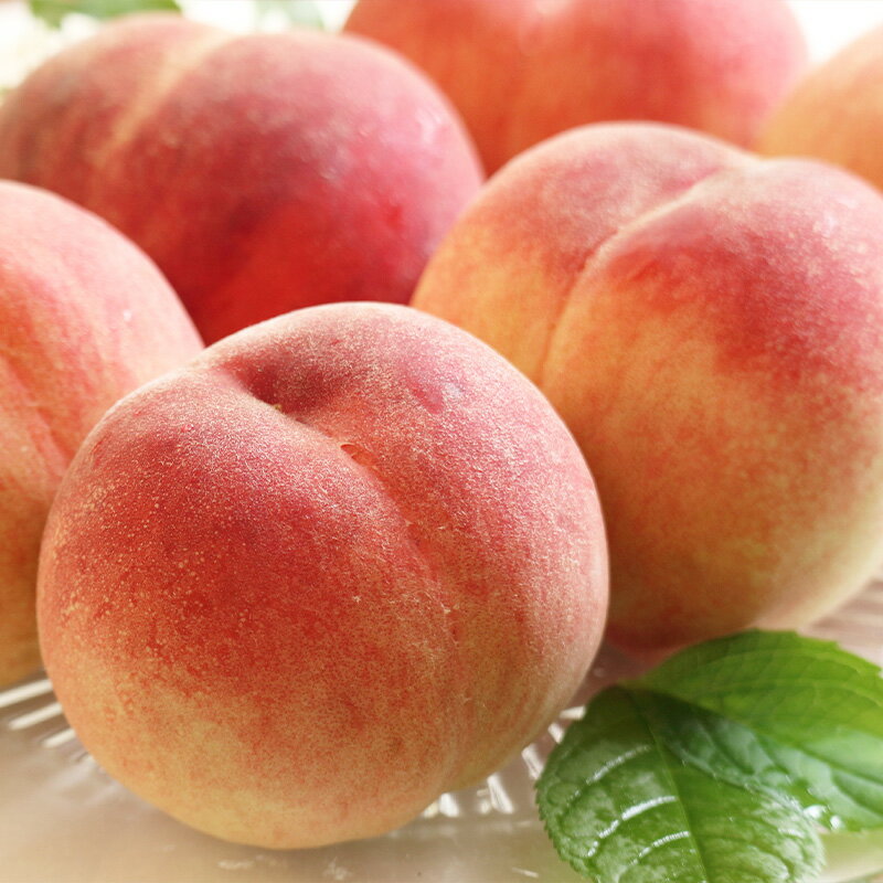 【ふるさと納税】【定期便3回】好きですやまがた！夏から始まる果実のおもてなし 3選【令和8年産先行予約】FS25-099 サムネイル2