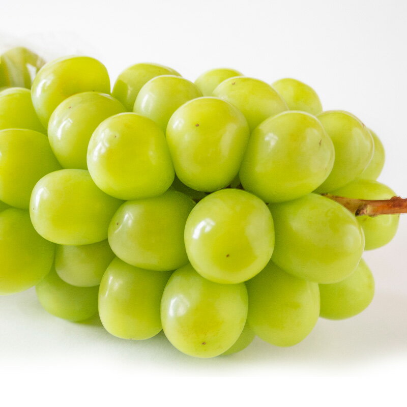 【ふるさと納税】【定期便3回】好きですやまがた！夏から始まる果実のおもてなし 3選【令和8年産先行予約】FS25-099 サムネイル3