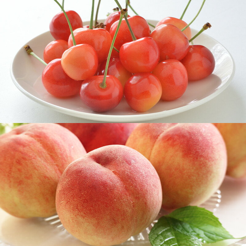 【ふるさと納税】【定期便5回】好きですやまがた！初夏から始まる果実のおもてなし 5選【令和8年産先行予約】FS25-100 サムネイル2