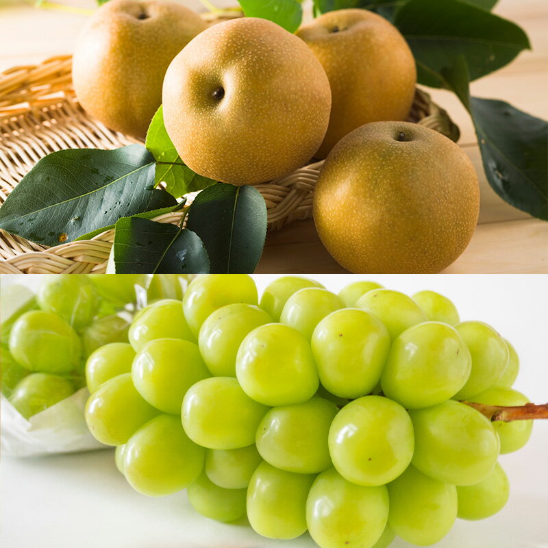 【ふるさと納税】【定期便5回】好きですやまがた！初夏から始まる果実のおもてなし 5選【令和8年産先行予約】FS25-100 サムネイル3