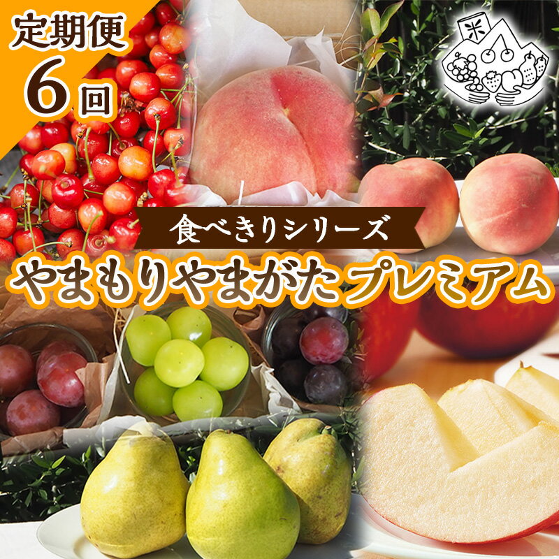【定期便6回】★食べきりシリーズ★やまもりやまがたプレミアム【令和8年産先行予約】FS25-105