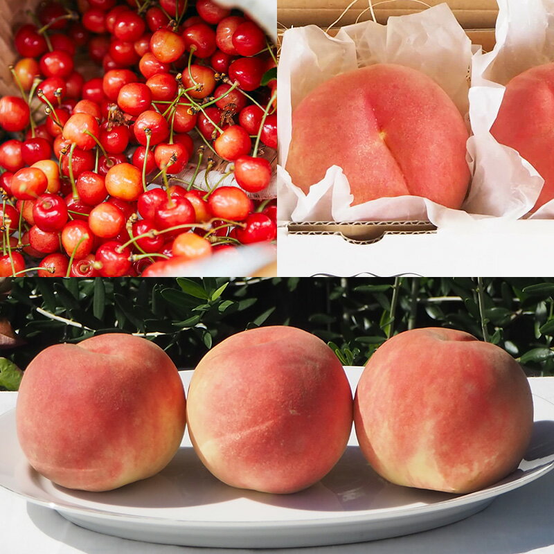 【ふるさと納税】【定期便6回】★食べきりシリーズ★やまもりやまがたプレミアム【令和8年産先行予約】FS25-105 サムネイル2