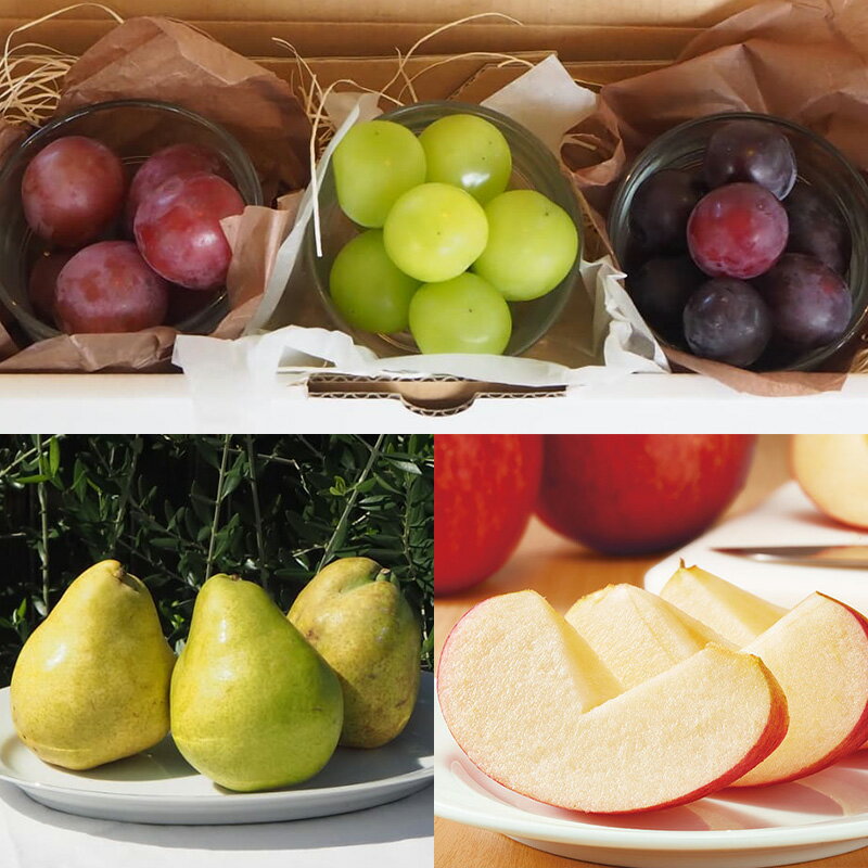 【ふるさと納税】【定期便6回】★食べきりシリーズ★やまもりやまがたプレミアム【令和8年産先行予約】FS25-105 サムネイル3