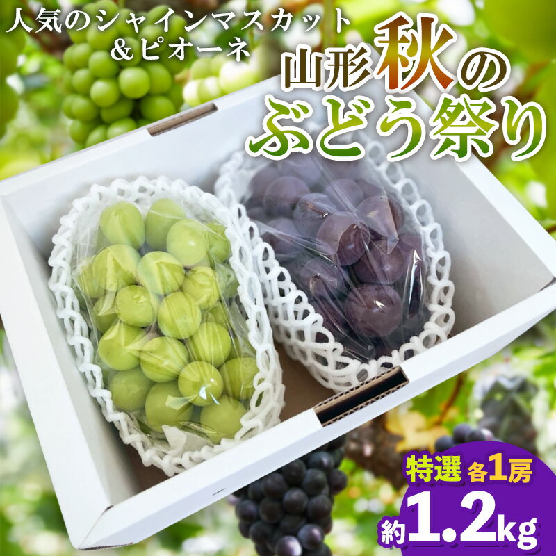山形秋のぶどう祭り【シャインマスカット・ピオーネ 特選 2房】【令和8年産先行予約】FS25-108