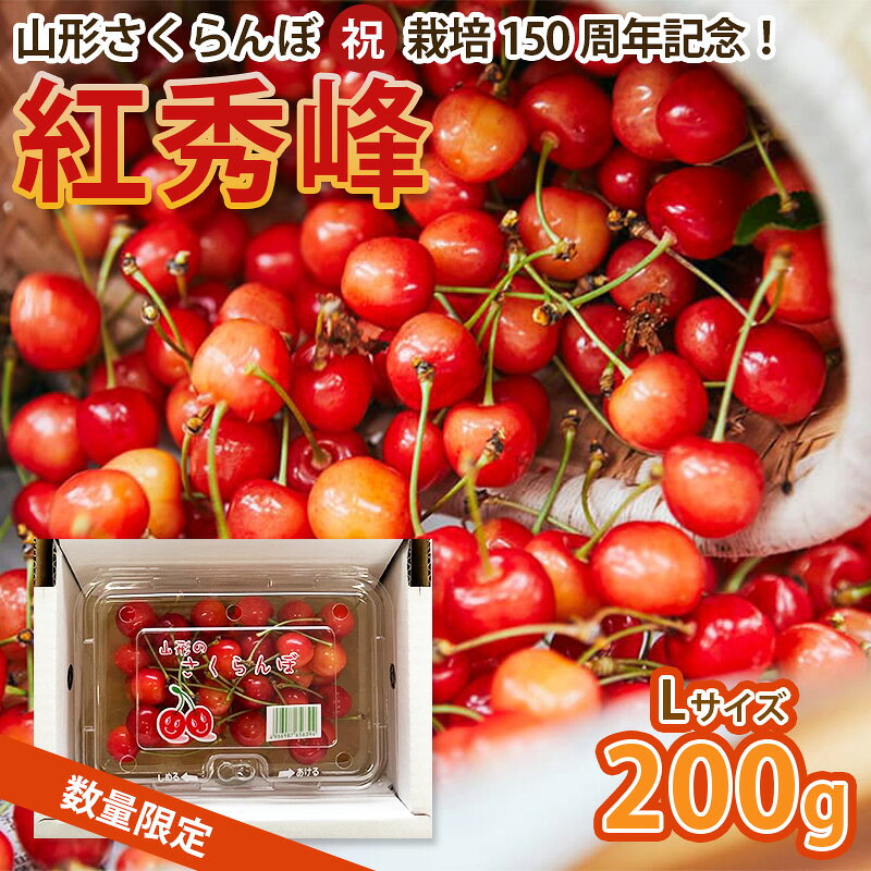 山形さくらんぼ (祝)栽培150周年記念！紅秀峰 200g L玉 数量限定！【令和8年産先行予約】FS25-109