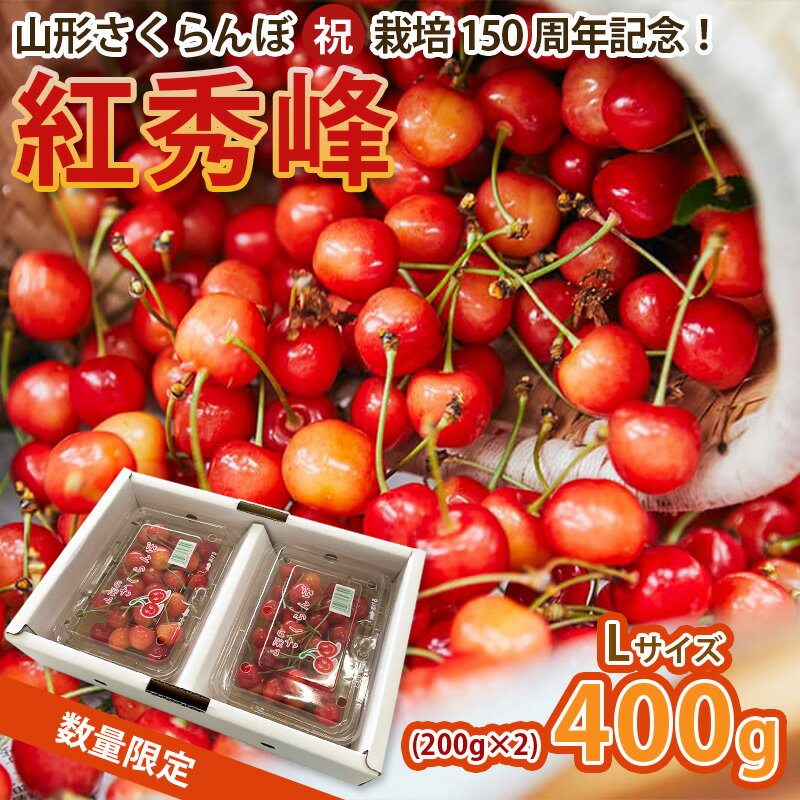山形さくらんぼ (祝)栽培150周年記念！紅秀峰400g(200g×2パック) L玉 数量限定！【令和8年産先行予約】FS25-110