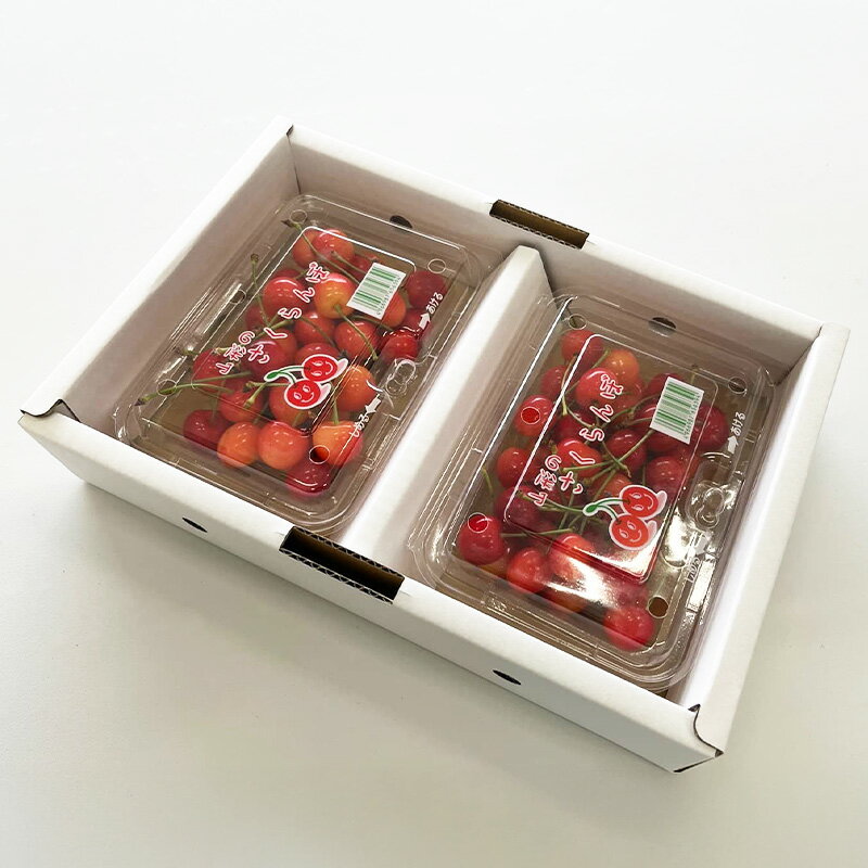 【ふるさと納税】山形さくらんぼ (祝)栽培150周年記念！紅秀峰400g(200g×2パック) L玉 数量限定！【令和8年産先行予約】FS25-110 サムネイル2