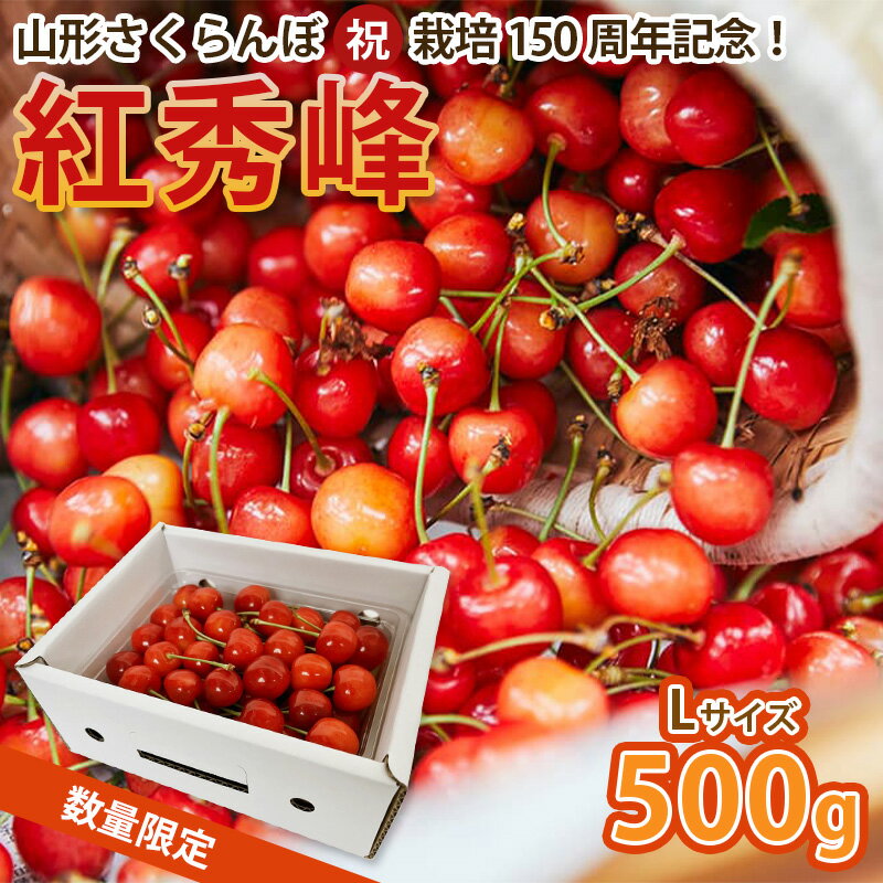 山形さくらんぼ (祝)栽培150周年記念！紅秀峰 500g L玉 数量限定！【令和8年産先行予約】FS25-111