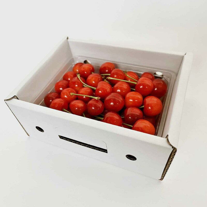 【ふるさと納税】山形さくらんぼ (祝)栽培150周年記念！紅秀峰 500g L玉 数量限定！【令和8年産先行予約】FS25-111 サムネイル2