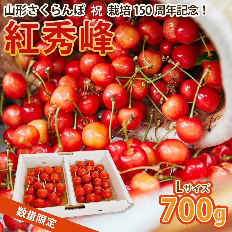 山形さくらんぼ (祝)栽培150周年記念！紅秀峰 700g L玉 数量限定！【令和8年産先行予約】FS25-112
