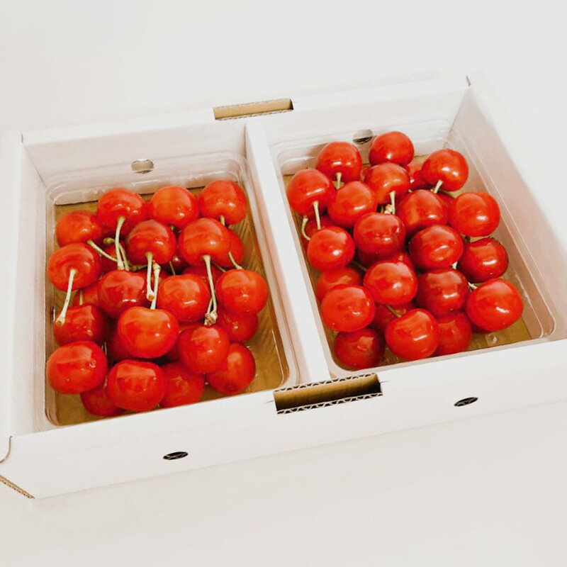 【ふるさと納税】山形さくらんぼ (祝)栽培150周年記念！紅秀峰 700g L玉 数量限定！【令和8年産先行予約】FS25-112 サムネイル2