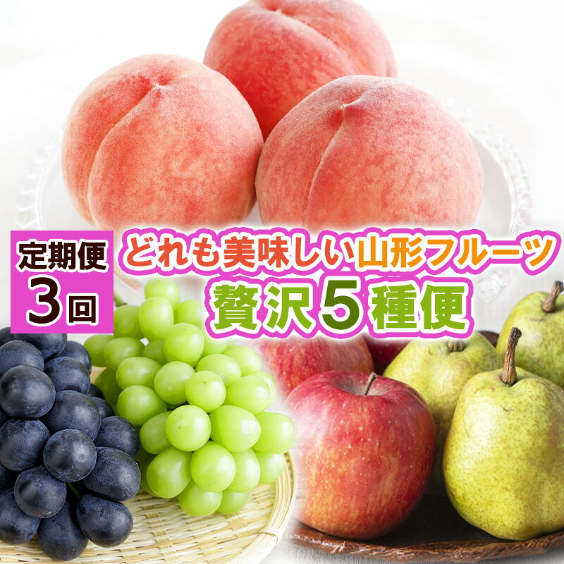 【定期便3回】どれも美味しい 山形フルーツ 贅沢5種便【令和8年産先行予約】FS25-122