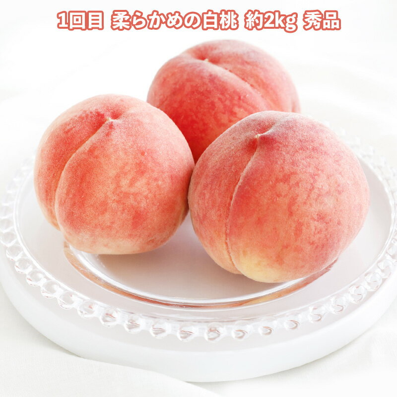 【ふるさと納税】【定期便3回】どれも美味しい 山形フルーツ 贅沢5種便【令和8年産先行予約】FS25-122 サムネイル2